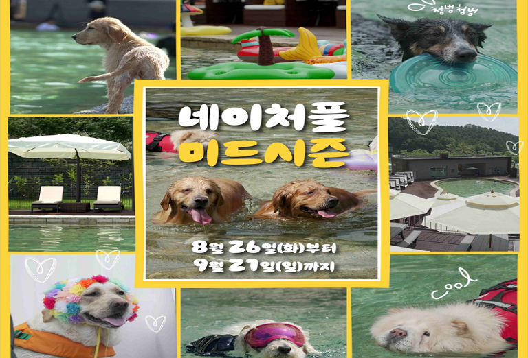 섬네일