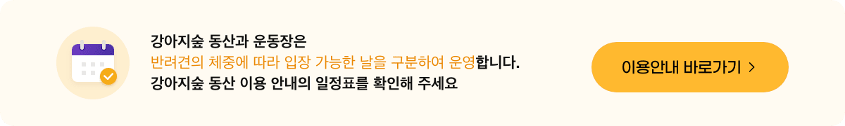 버튼